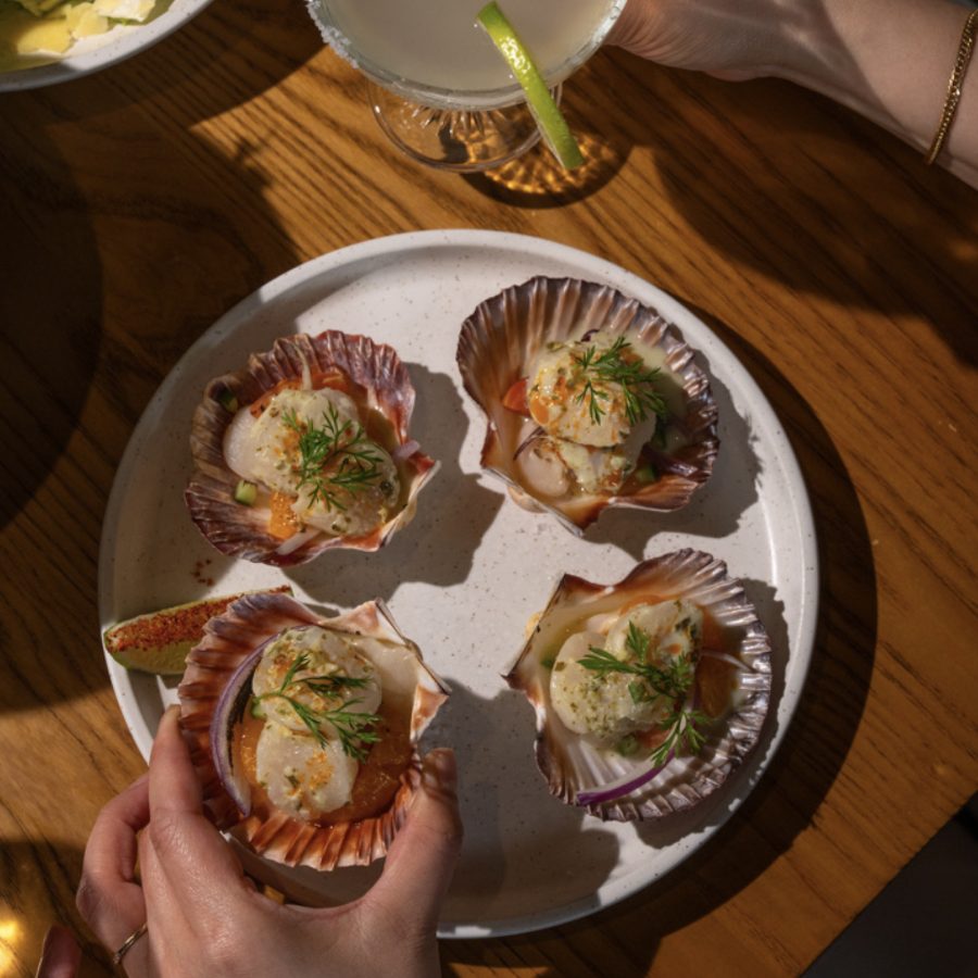 Scallops served in the shell at Angelica Norwest